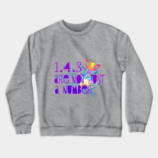 1.4.3 Crewneck Sweatshirt